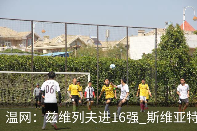温网：兹维列夫进16强 斯维亚特克、莱巴金娜出局