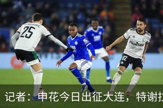 记者：申花今日出征大连，特谢拉、米内罗、李可因伤无法出战